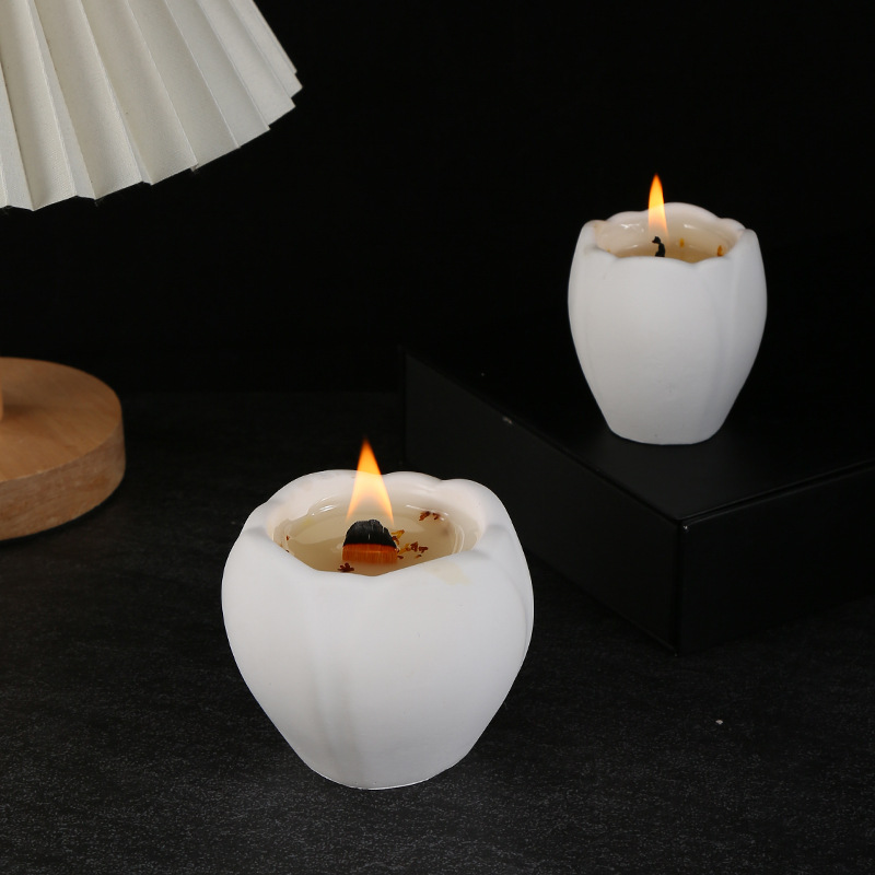 Aromatherapy Candle for Home D - Candle Fragrance review and price
